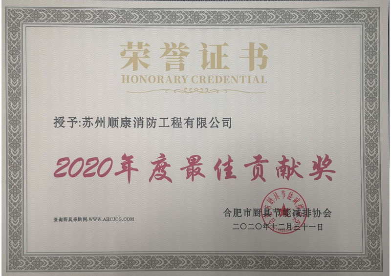 4-2020年度最佳贡献奖-顺康(图1)