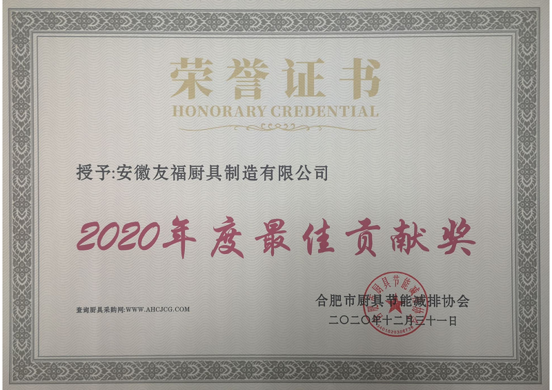 5-2020年度最佳贡献奖-友福(图1)