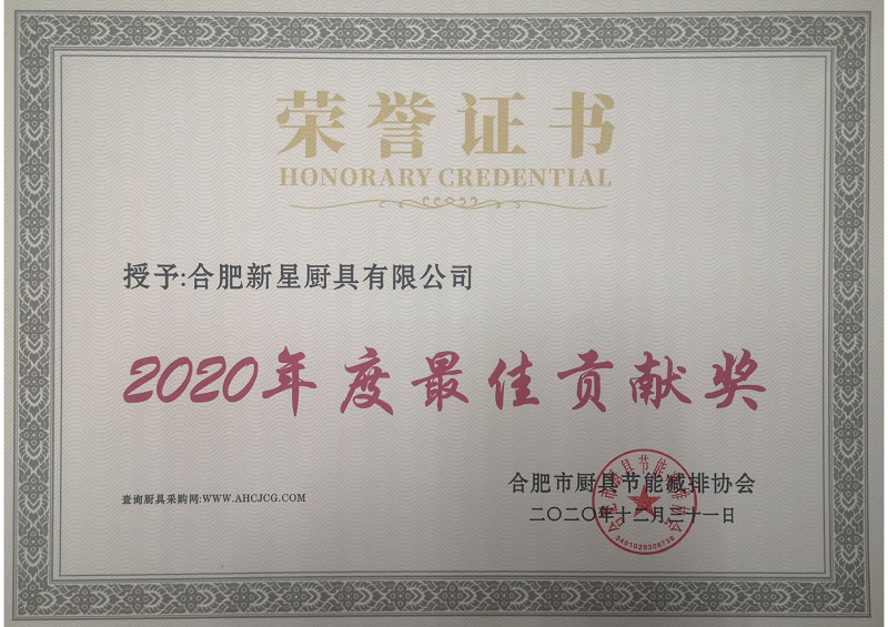 6-2020年度最佳贡献奖-新星(图1)